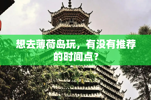 想去薄荷岛玩，有没有推荐的时间点？