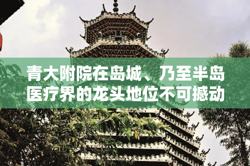 青大附院在岛城、乃至半岛医疗界的龙头地位不可撼动、也不能（被）撼动
