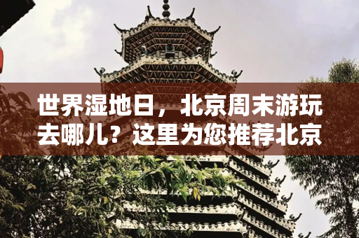 世界湿地日，北京周末游玩去哪儿？这里为您推荐北京的湿地游景点！