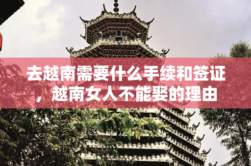 去越南需要什么手续和签证，越南女人不能娶的理由