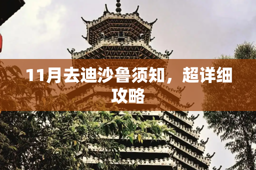 11月去迪沙鲁须知，超详细攻略