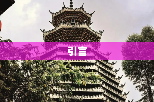 引言