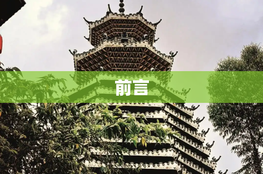 前言