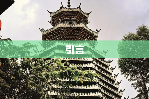 引言