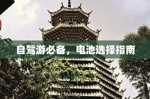 自驾游必备，电池选择指南