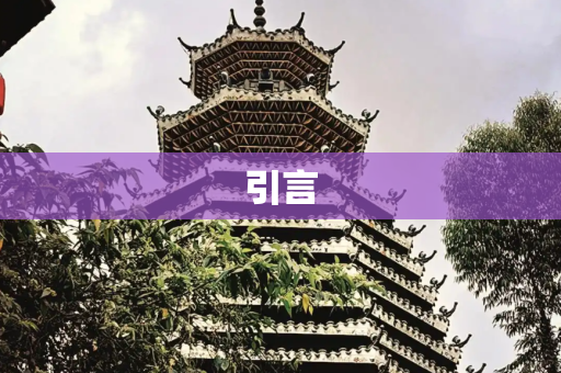 引言