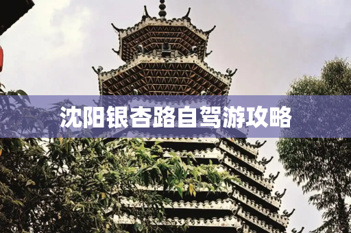 沈阳银杏路自驾游攻略