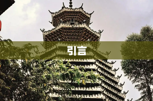 引言