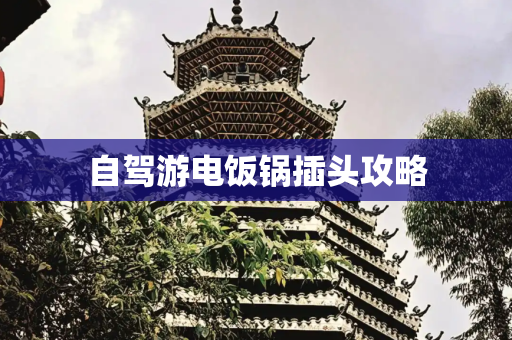自驾游电饭锅插头攻略