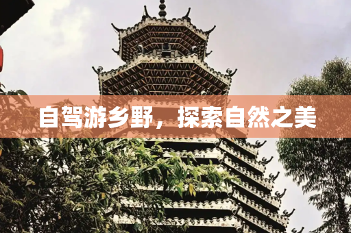 自驾游乡野，探索自然之美