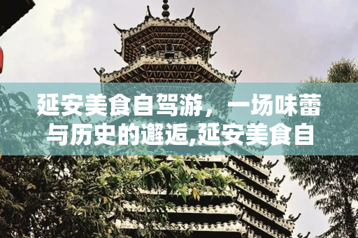 延安美食自驾游，一场味蕾与历史的邂逅,延安美食自驾游作文