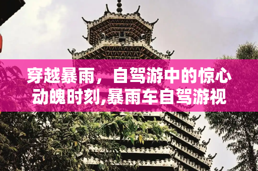 穿越暴雨，自驾游中的惊心动魄时刻,暴雨车自驾游视频