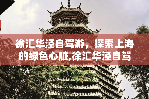 徐汇华泾自驾游，探索上海的绿色心脏,徐汇华泾自驾游