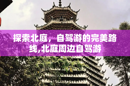 探索北庭，自驾游的完美路线,北庭周边自驾游