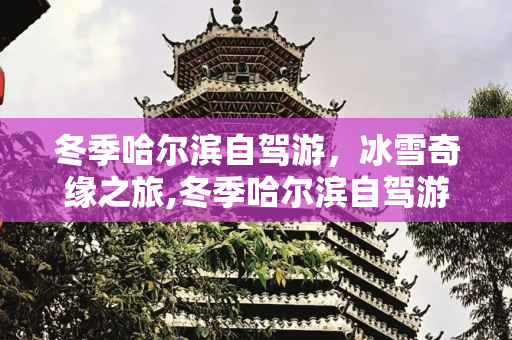 冬季哈尔滨自驾游，冰雪奇缘之旅,冬季哈尔滨自驾游视频