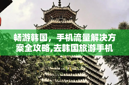畅游韩国，手机流量解决方案全攻略,去韩国旅游手机流量怎么办