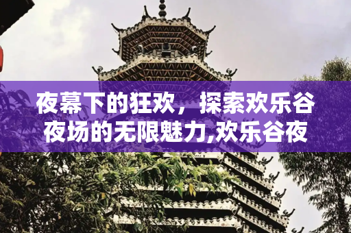 夜幕下的狂欢，探索欢乐谷夜场的无限魅力,欢乐谷夜场,夜晚游玩的不二选择