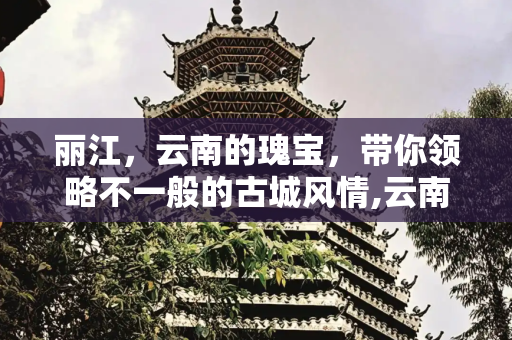 彩虹资讯 第143页