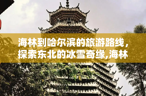 海林到哈尔滨的旅游路线，探索东北的冰雪奇缘,海林到哈尔滨旅游路线