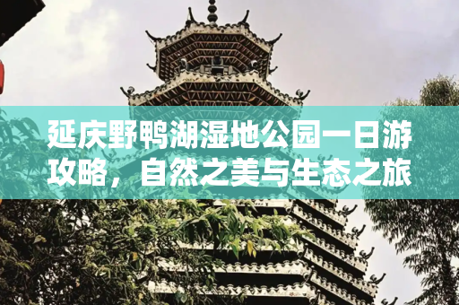 旅游路线 第115页