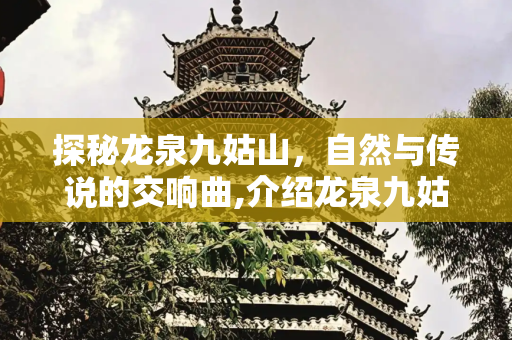 探秘龙泉九姑山，自然与传说的交响曲,介绍龙泉九姑山