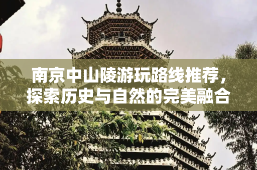 南京中山陵游玩路线推荐，探索历史与自然的完美融合,南京中山陵游玩路线有哪些