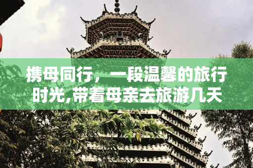 携母同行，一段温馨的旅行时光,带着母亲去旅游几天