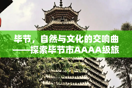 彩虹资讯 第135页