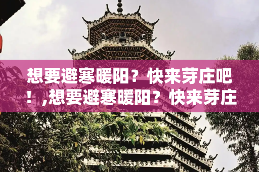 想要避寒暖阳？快来芽庄吧！,想要避寒暖阳？快来芽庄吧！
