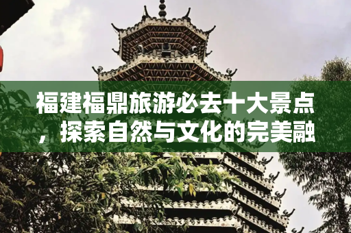 福建福鼎旅游必去十大景点，探索自然与文化的完美融合,福建福鼎旅游必去十大景点