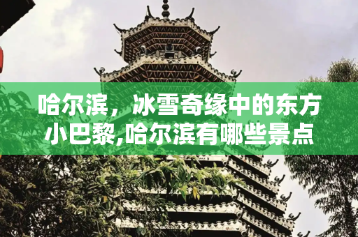 哈尔滨，冰雪奇缘中的东方小巴黎,哈尔滨有哪些景点