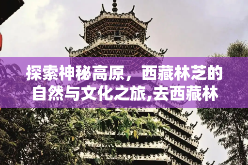 探索神秘高原，西藏林芝的自然与文化之旅,去西藏林芝旅游