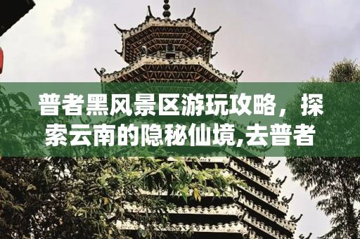 普者黑风景区游玩攻略，探索云南的隐秘仙境,去普者黑风景区游玩应该如何做攻略