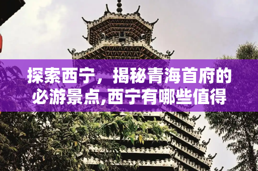 彩虹资讯 第131页