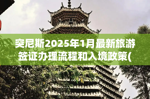 突尼斯2025年1月最新旅游签证办理流程和入境政策(关于突尼斯进一步明确中国公民入境签证政策的通知)