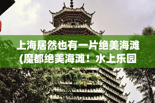 上海居然也有一片绝美海滩(魔都绝美海滩！水上乐园、渔人码头、海国夜市……想要的都能实现)