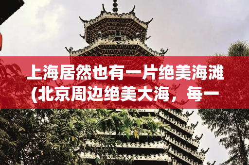 上海居然也有一片绝美海滩(北京周边绝美大海，每一处都想去！)