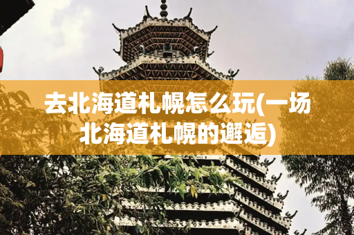 去北海道札幌怎么玩(一场北海道札幌的邂逅)