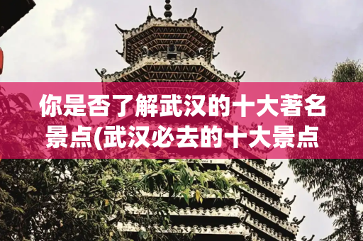 你是否了解武汉的十大著名景点(武汉必去的十大景点！本地人私藏攻略，省时避坑一篇搞定)