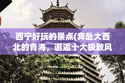 西宁好玩的景点(奔赴大西北的青海，邂逅十大极致风光，荒漠圣湖皆成人间绝色)