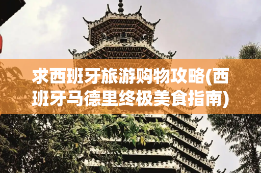 求西班牙旅游购物攻略(西班牙马德里终极美食指南)