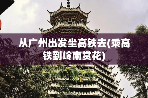 从广州出发坐高铁去(乘高铁到岭南赏花)