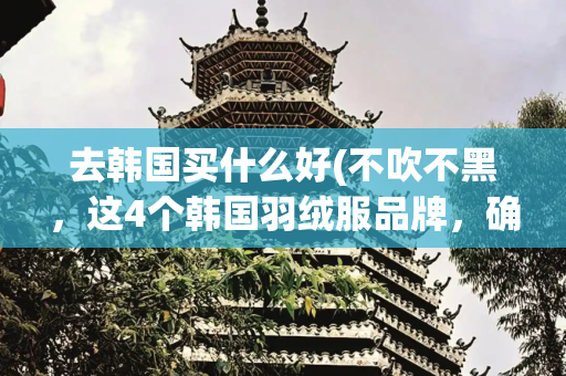 去韩国买什么好(不吹不黑，这4个韩国羽绒服品牌，确实比大鹅、波司登更值得买！)