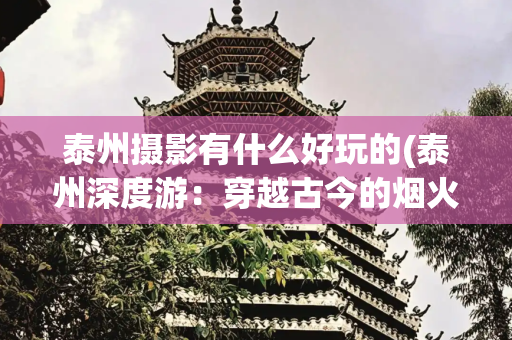泰州摄影有什么好玩的(泰州深度游：穿越古今的烟火与传奇，解锁四大必打卡地标)