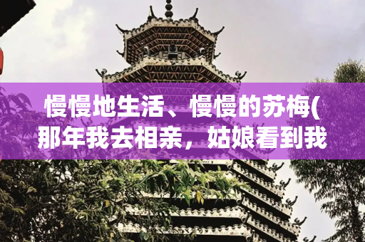慢慢地生活、慢慢的苏梅(那年我去相亲，姑娘看到我，当时就笑了：我总算是找到你了)