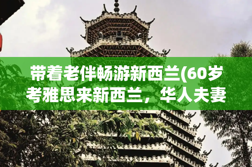 带着老伴畅游新西兰(60岁考雅思来新西兰，华人夫妻车库创业！70岁，人生才刚开始)