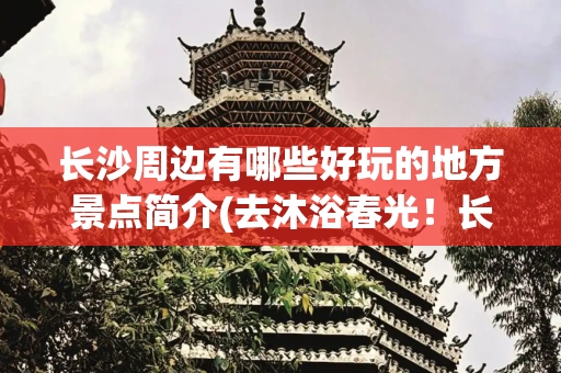 长沙周边有哪些好玩的地方景点简介(去沐浴春光！长沙周边这些地方适合露营)