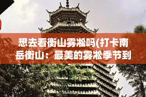 想去看衡山雾凇吗(打卡南岳衡山：最美的雾凇季节到了，登山注意自带食物补给)
