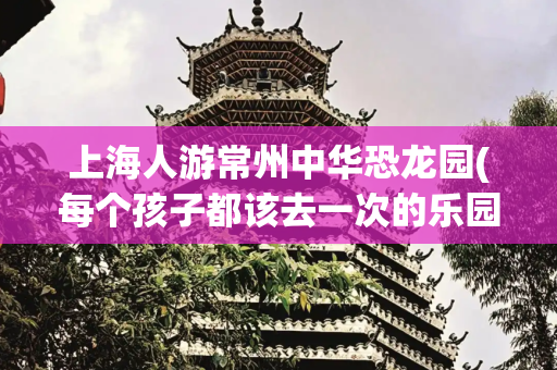 上海人游常州中华恐龙园(每个孩子都该去一次的乐园，常州中华恐龙园出游攻略)