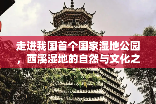 走进我国首个国家湿地公园，西溪湿地的自然与文化之旅,走进我国首个国家湿地公园西溪湿地